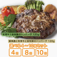 【食べ応え抜群！】GOOD GOOD MEAT 通販 「ハンバーグ2種類食べ比べセット」