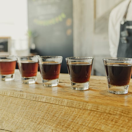 【限定！】宮の森アルケミストコーヒー　通販「１２銘柄スペシャリティコーヒー飲み比べセット」《送料無料》