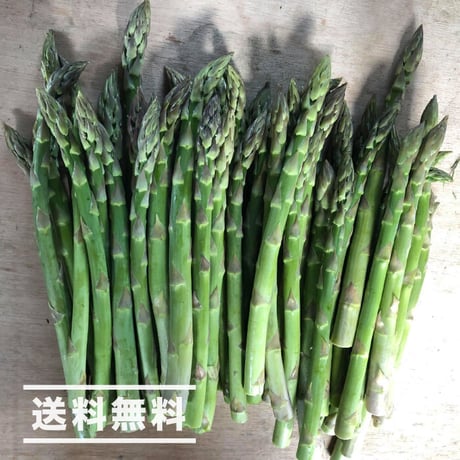 《予約販売》【数量限定】上枝ヴィンヤード　通販「無農薬！有機アスパラ 1kgセット（S〜Mサイズが60本程度）」《送料無料》