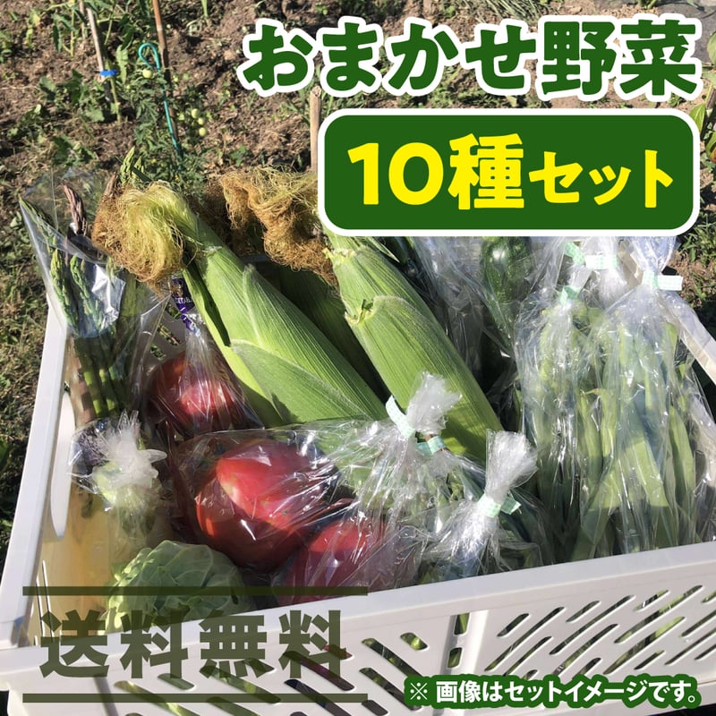 数量限定】上枝ヴィンヤード通販「季節の野菜お任せセット」《送料無料