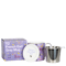 T2 マグ Iconic French Earl Grey Mug with Infuser