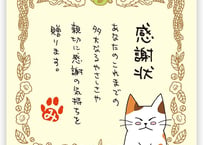 ねこ　一煎パック　ティーバック2個入り