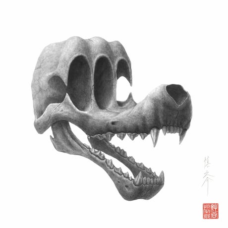 原画作品「Three−eyed Wolf Skull」/ 針谷 慎之介