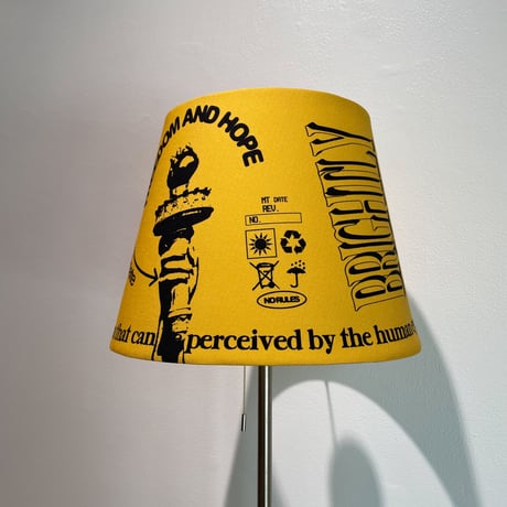 [ Stand light ] HOME ECONOMICS EXPERIMENT