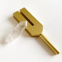《BIOSONICS社正規品》ゴールデンレムリアンチューナー＊レムリアンシードクリスタルポイント&ポーチ付き