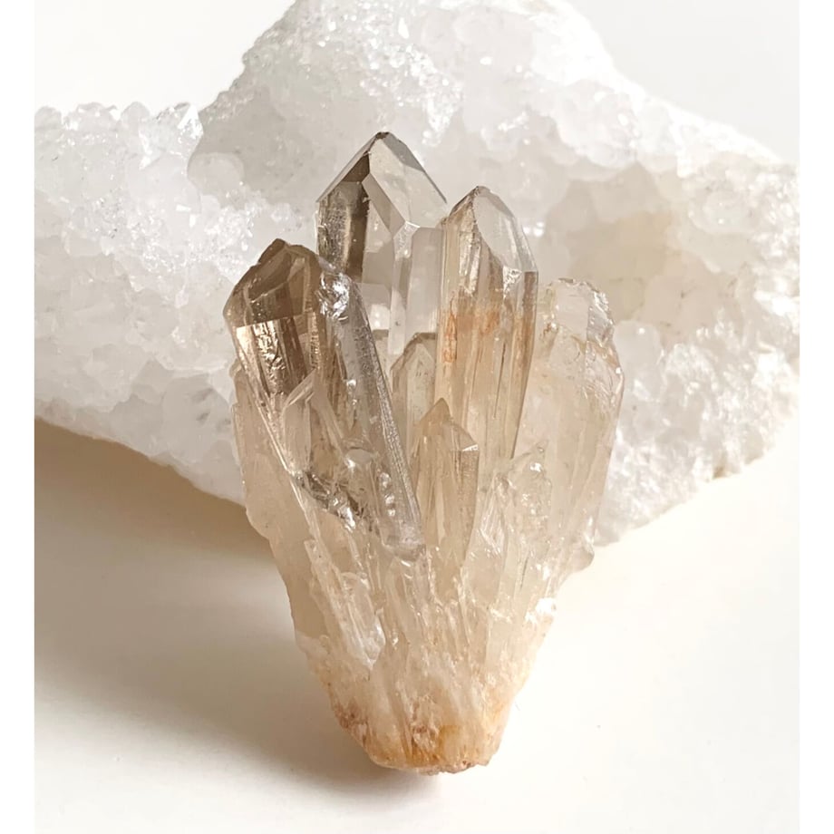 61779e536b6d19525500f8b1