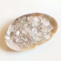 水晶*アステロイド | Crystal♪Garden 水晶*アステロイド | Crystal♪Garden