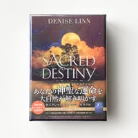 《限定版》セイクレッドデスティニーオラクル／スペシャルエディション ゴールドエッジ