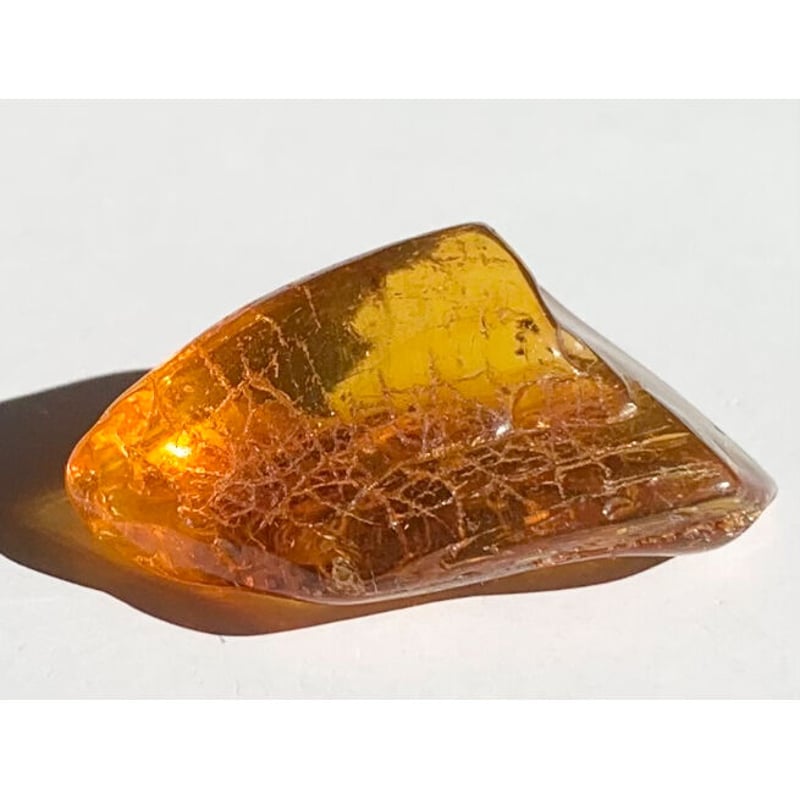 アンバー(琥珀)パウダー　ぱん アンバー 琥珀指輪(14号)[T746-3368]