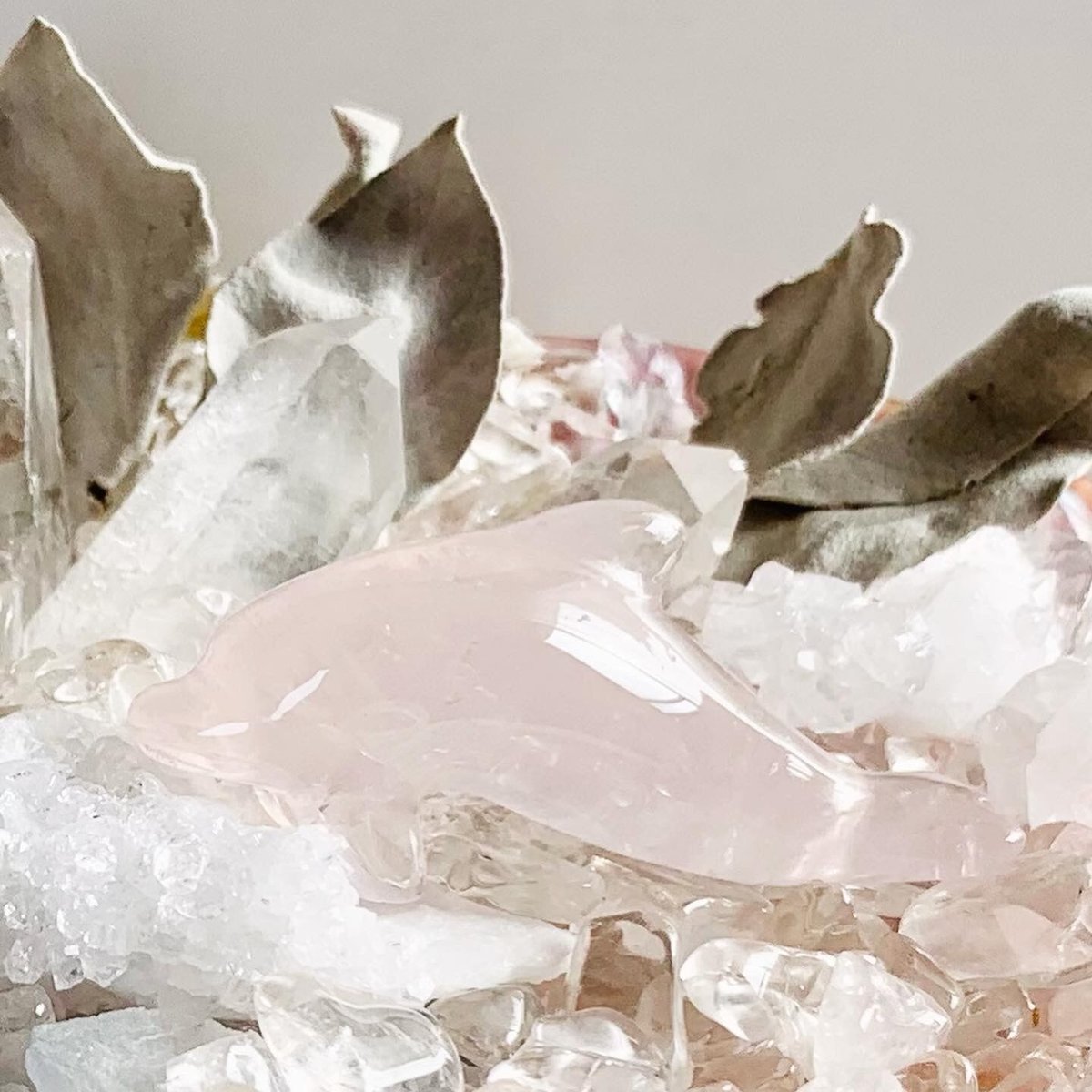 癒しの石あそびセット＊ドルフィン | Crystal♪Garden