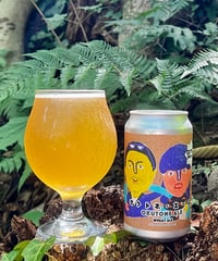 OKUTONE ALE　オクトネ・エール 【350ml缶】6本