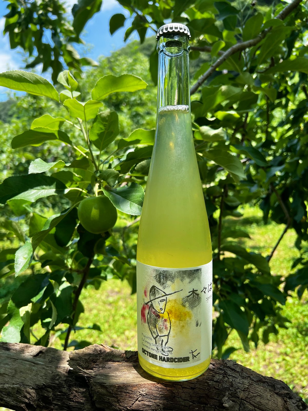 りんご 子宝 山形りんご 1800ml｜山形県産 もぎたての瑞々しさ 【楯の川