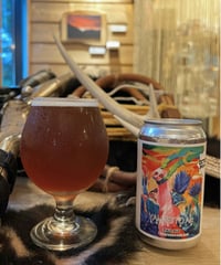 YAMABITO ALE　ヤマビト・エール 【350ml缶】6本