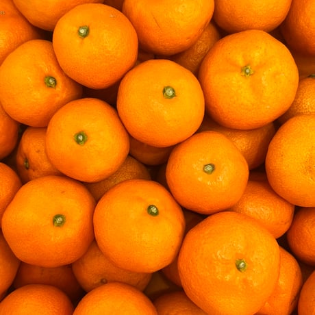 明浜みかん専門店『スリーサンズ』