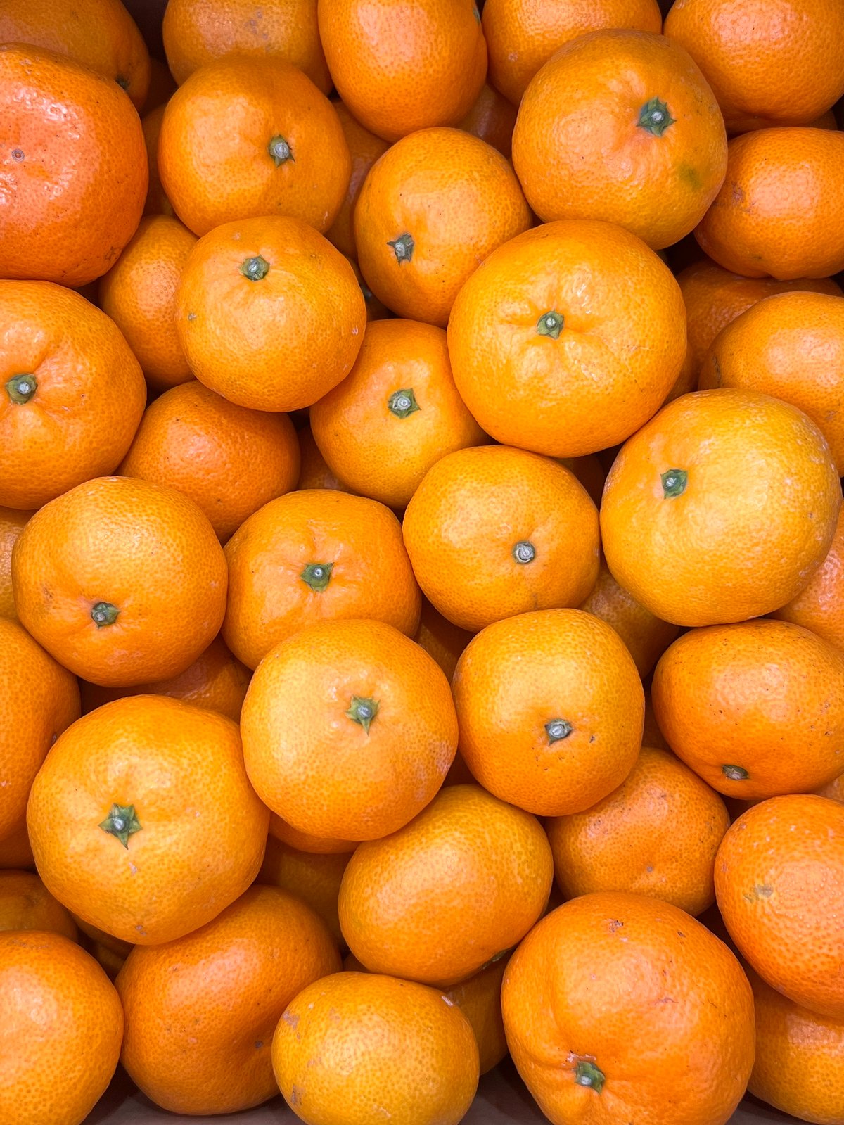 南柑20号【夕焼け山農園】 | 明浜みかん専門店『スリーサンズ』