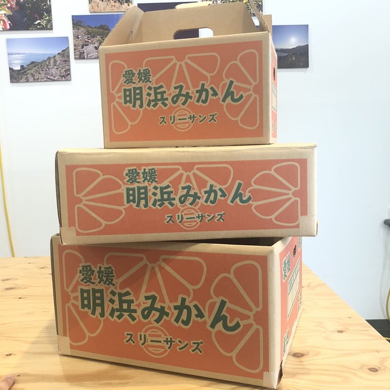 南柑20号【夕焼け山農園】 | 明浜みかん専門店『スリーサンズ』