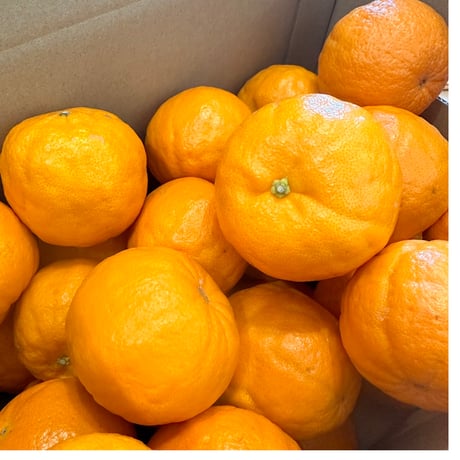 明浜みかん専門店『スリーサンズ』