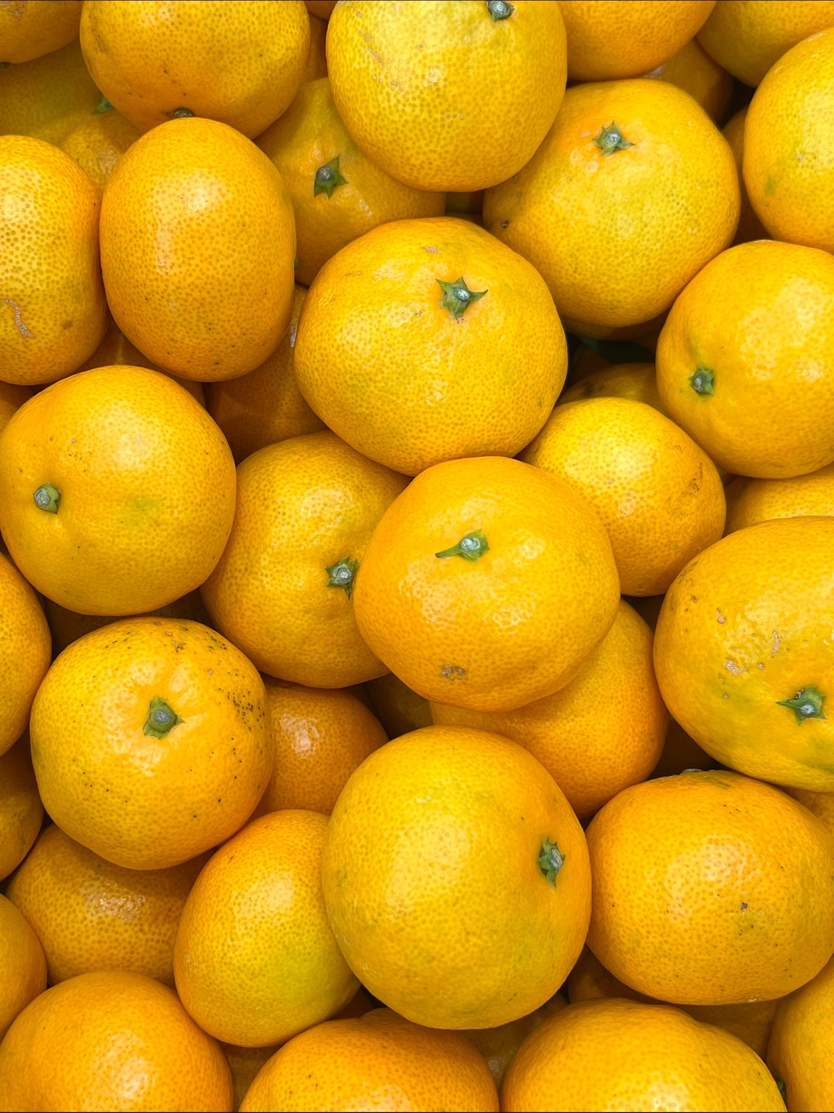 田口早生【夕焼け山農園】 | 明浜みかん専門店『スリーサンズ』