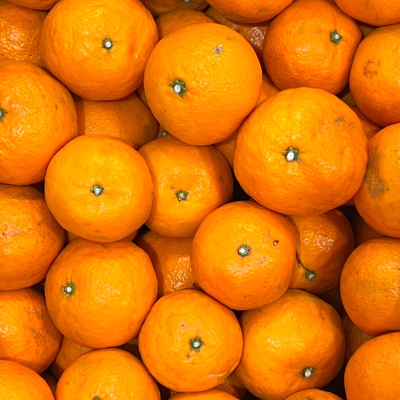 なつみ【夕焼け山農園】 | 明浜みかん専門店『スリーサンズ』