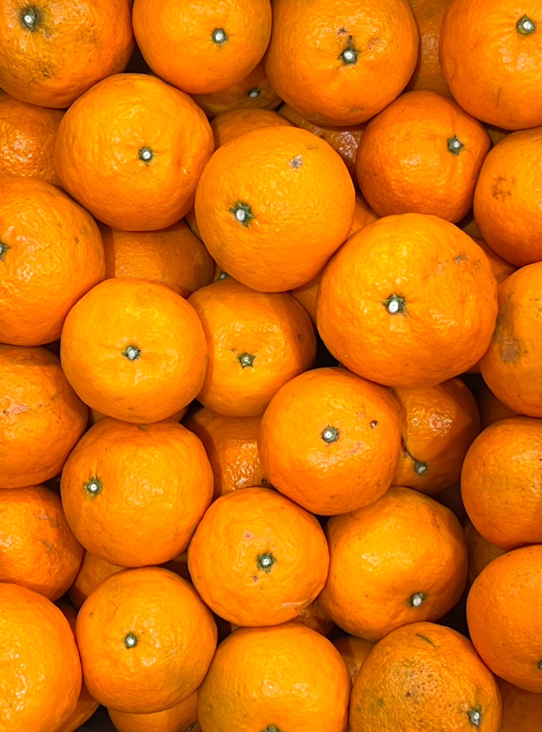 なつみかんさま専用 なつみかん様 #240325