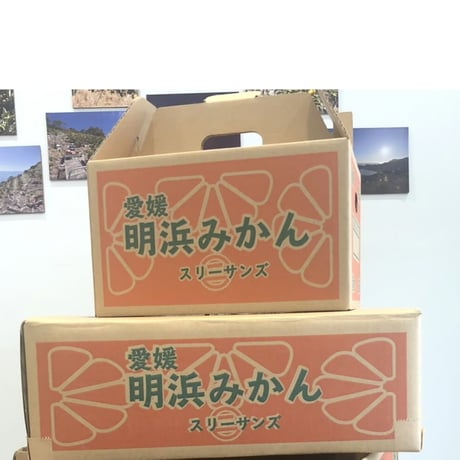 『明浜みかん』詰め合わせ