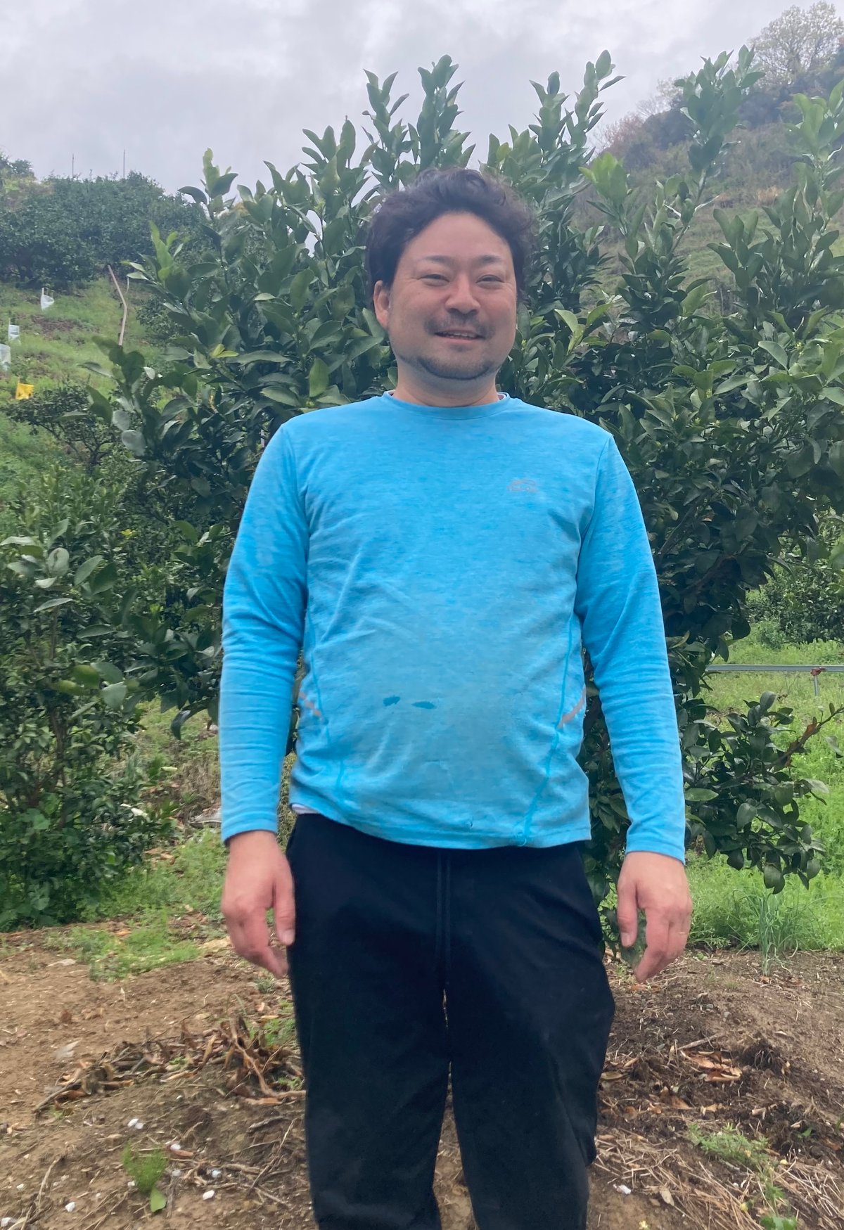 初夏旦【山本農園】 | 明浜みかん専門店『スリーサンズ』