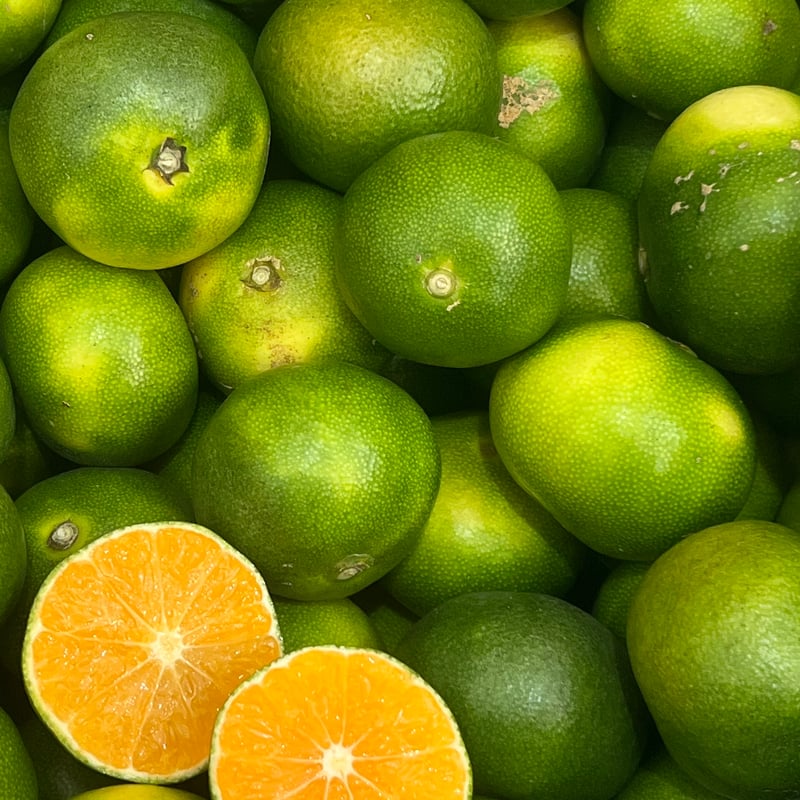 日南【段畑みかん】 | 明浜みかん専門店『スリーサンズ』