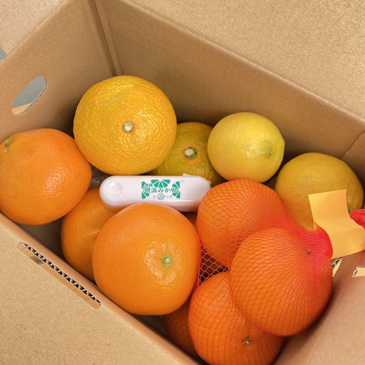 みかんさん、専用です。 明浜みかん』詰め合わせ | 明浜みかん専門店『スリーサンズ』