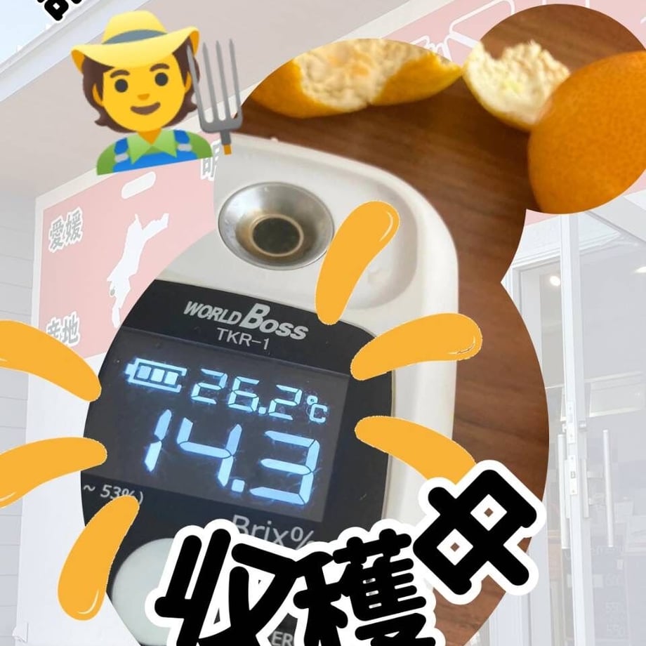 6527300d3ef306061e1f4235