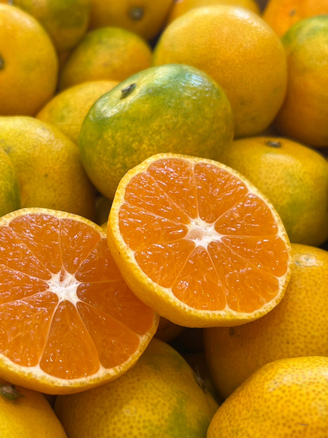 日南1号【夕焼け山農園】 | 明浜みかん専門店『スリーサンズ』