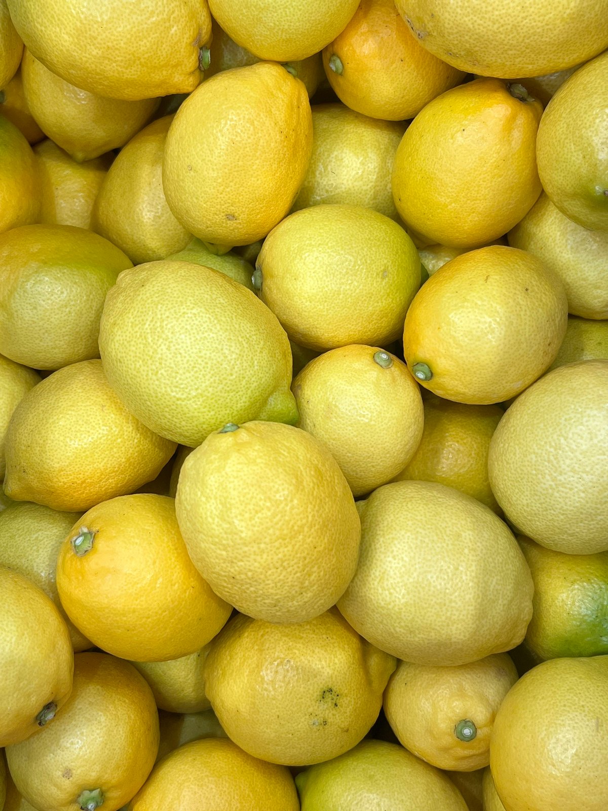 明浜レモン | 明浜みかん専門店『スリーサンズ』