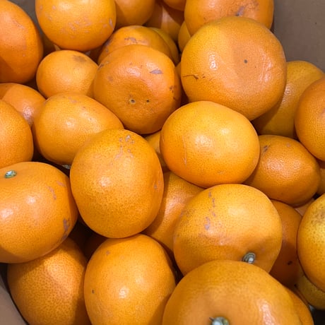 Johnny&#39;s - みかん 小岩井 純水みかん キリン オレンジ ペットボトル 本数8 容量1.5