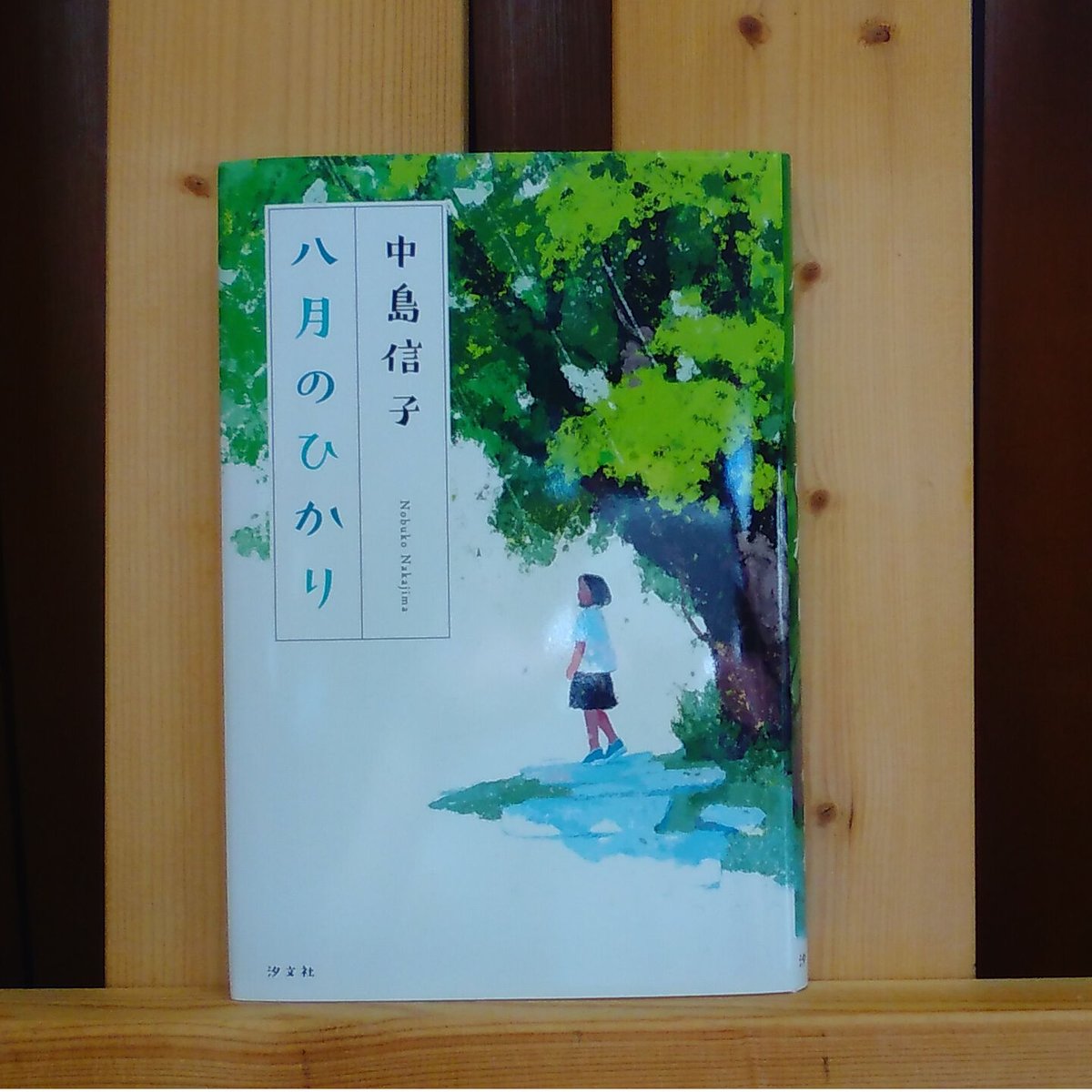 【中古】 月光の象番 飯島晴子の世界/ＫＡＤＯＫＡＷＡ/山地春眠子 中古】 月光の象番 飯島晴子の世界/KADOKAWA/山地春眠子