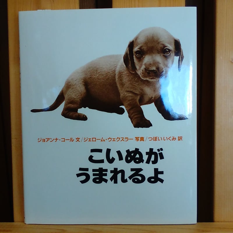 油絵 Yumiko ワーゲンに乗る犬の家族 A Japanese couple traveling in a camper van with their
