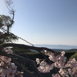 一畑薬師