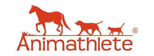 Animathlete