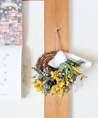 ミモザの蕾とレッドティーツリーの春待つシックなドライフラワー