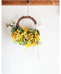 ミモザの蕾とレッドティーツリーの春待つシックなドライフラワー