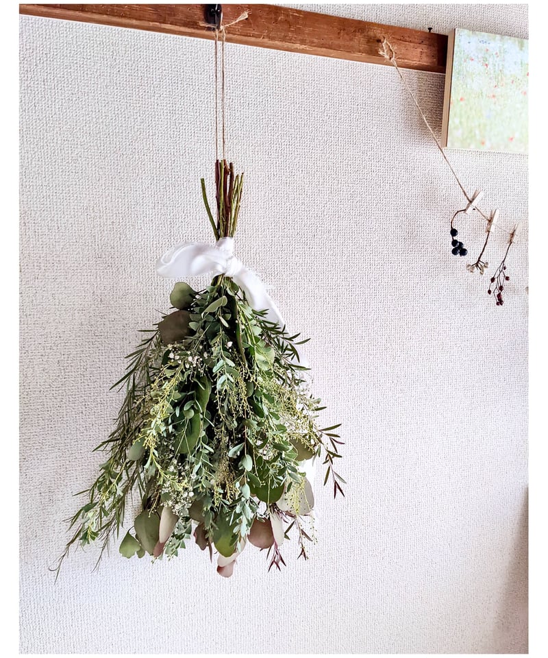 フレッシュ   三角葉アカシアリース ミモザ 三角葉アカシア フレッシュ ドライフラワー リース スワッグ