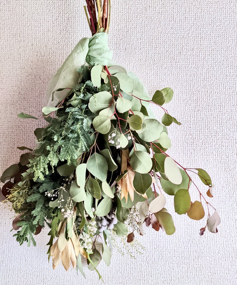 ユーカリポポラスとリューカデンドロン、ミモザのグリーンなドライ