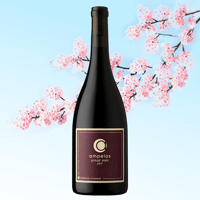 🇺🇸【 サンタ・リタヒルズ ピノ・ノワール 】Sta. Rita Hills Pinot Noir 2022