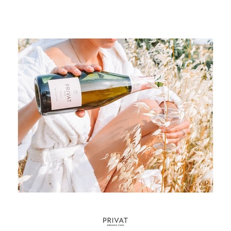 【 CAVA（ロゼ）】人気の高級自然派スパークリングワイン２本セット