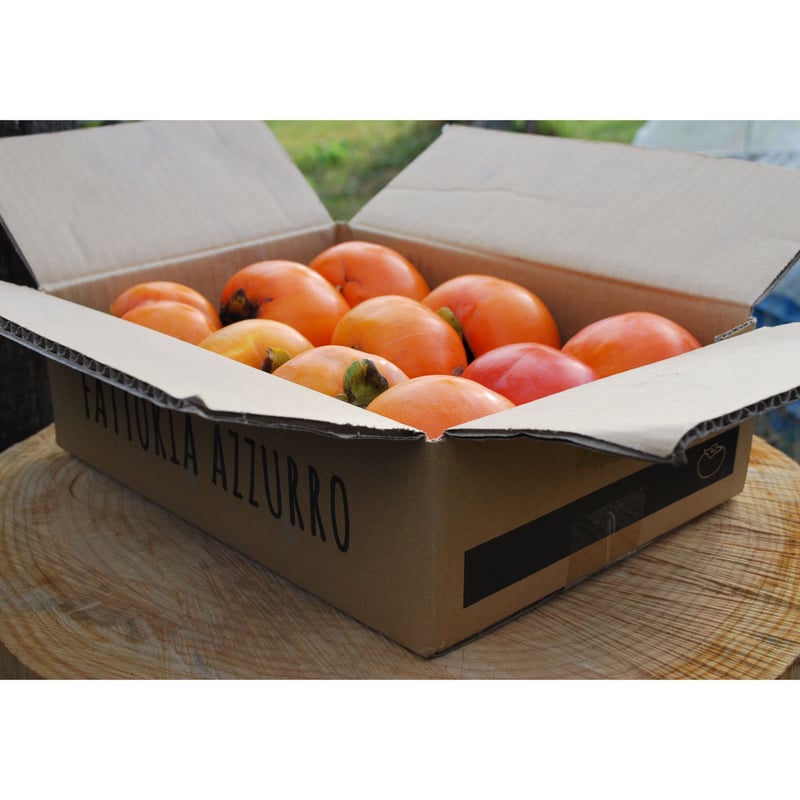 和歌山県 九度山産 富有柿 ご家庭用 約2.5㌔ | FATTORIA AZZURRO