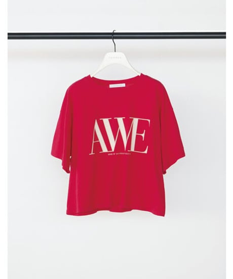 "AWE"ﾌﾟﾘﾝﾄｸﾛｯﾌﾟﾄﾞTee　8462-403KK　 / CHIGNON