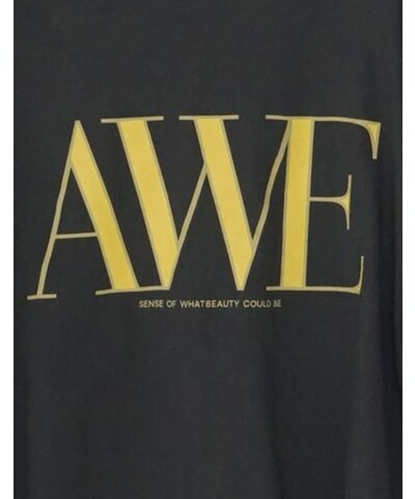 "AWE"ﾌﾟﾘﾝﾄｸﾛｯﾌﾟﾄﾞTee　8462-403KK　 / CHIGNON