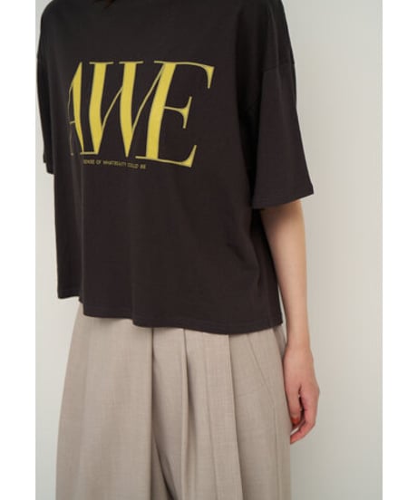 "AWE"ﾌﾟﾘﾝﾄｸﾛｯﾌﾟﾄﾞTee　8462-403KK　 / CHIGNON