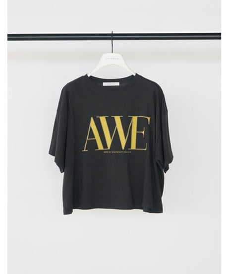 "AWE"ﾌﾟﾘﾝﾄｸﾛｯﾌﾟﾄﾞTee　8462-403KK　 / CHIGNON