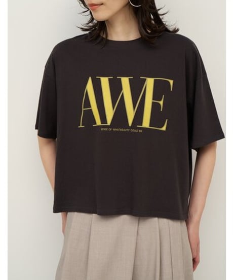 "AWE"ﾌﾟﾘﾝﾄｸﾛｯﾌﾟﾄﾞTee　8462-403KK　 / CHIGNON