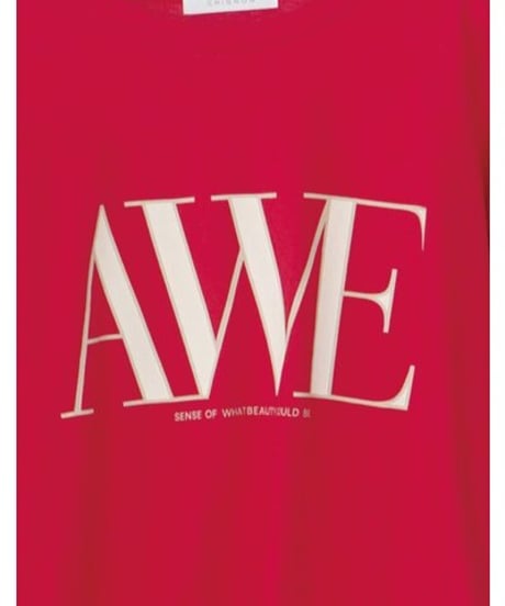 "AWE"ﾌﾟﾘﾝﾄｸﾛｯﾌﾟﾄﾞTee　8462-403KK　 / CHIGNON