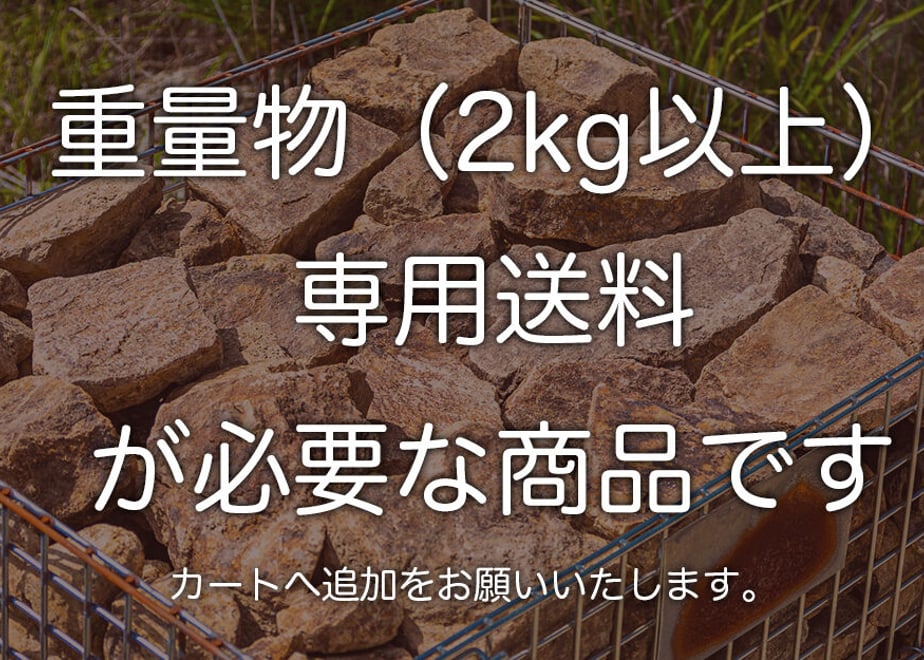 6350bb03f5197349bbcd5041